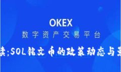 最新解读：SOL铭文币的政