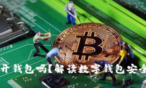 只有助记词可以打开钱包吗？解读数字钱包安全与访问的多种方式