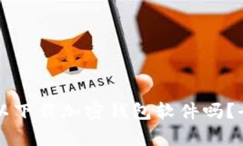 ### 国内可以下载加密钱包软件吗？全面解析与推荐