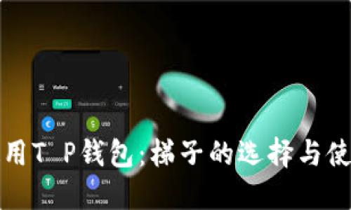 如何使用T P钱包:梯子的选择与使用技巧