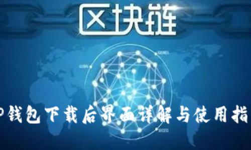 TP钱包下载后界面详解与使用指南