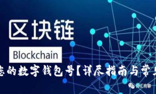 如何查询您的数字钱包号？详尽指南与常见问题解答