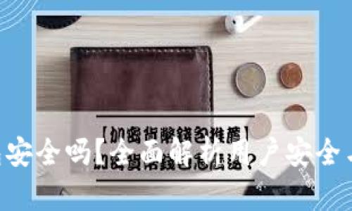Copay钱包安全吗？全面解析用户安全与隐私保护