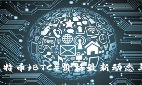 2023年比特币（BTC）价格最新动态与市场分析