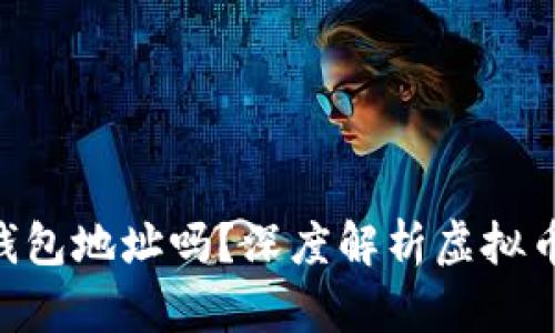 虚拟币UID是钱包地址吗？深度解析虚拟币的本质与特征
