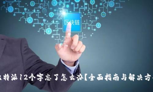 比特派12个字忘了怎么办？全面指南与解决方案