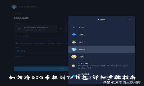 如何将BIG币提到TP钱包:详细步骤指南