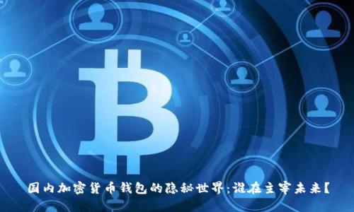 国内加密货币钱包的隐秘世界：谁在主宰未来？