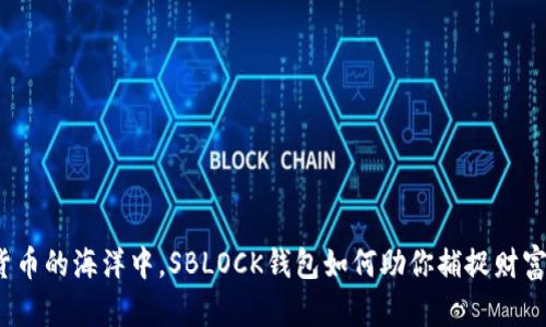 在数字货币的海洋中，SBLOCK钱包如何助你捕捉财富的风浪？