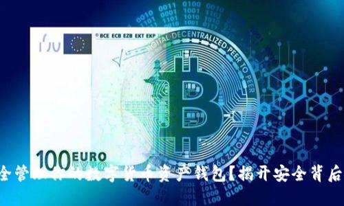 如何安全管理你的数字货币资产钱包?揭开安全背后的悬念!
