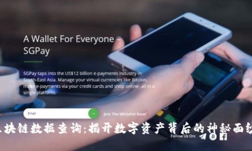 区块链数据查询：揭开数字资产背后的神秘面纱？