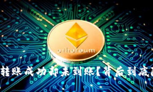 你的TP钱包转账成功却未到账？背后到底隐藏着什么？