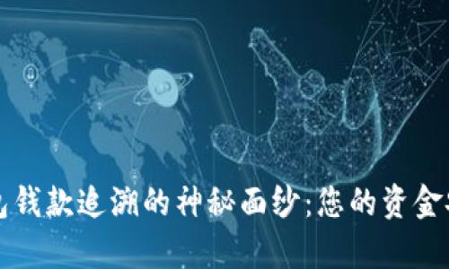 揭秘t p钱包钱款追溯的神秘面纱：您的资金安全在哪里？