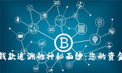 揭秘t p钱包钱款追溯的神秘面纱：您的资金安全在哪里？