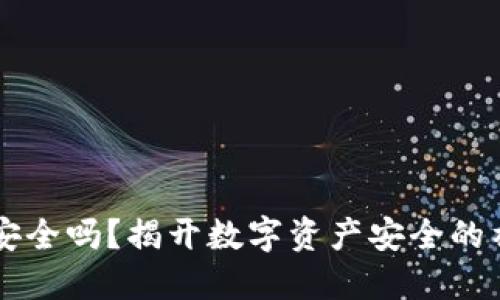 IM钱包安全吗？揭开数字资产安全的神秘面纱