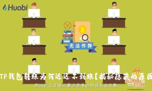 TP钱包转账为何迟迟不到账?揭秘隐藏的原因