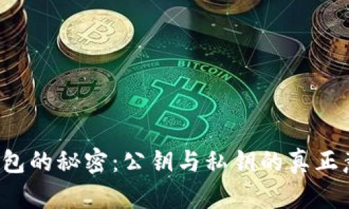 解密加密钱包的秘密：公钥与私钥的真正意义是什么？