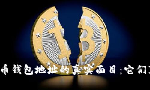 揭秘加密货币钱包地址的真实面目：它们真的匿名吗？
