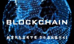 数字钱包应用下载：你还
