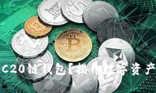 如何轻松创建TRC20链钱包?揭开数字资产管理的神秘面纱