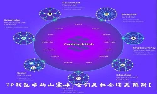 TP钱包中的山寨币:它们是机会还是陷阱?