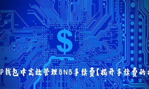 如何在TP钱包中高效管理BNB手续费？揭开手续费的神秘面纱