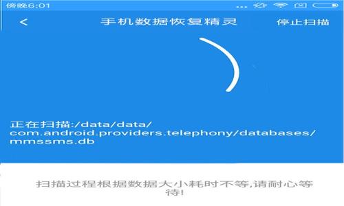 如何在TP钱包中轻松查看您购买的币种?