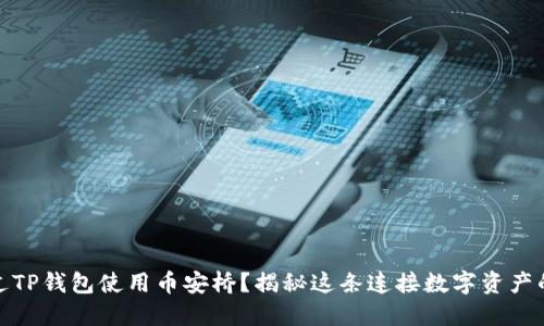 如何通过TP钱包使用币安桥?揭秘这条连接数字资产的新通道
