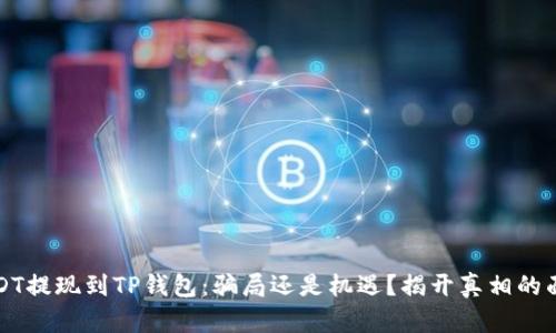 USDT提现到TP钱包：骗局还是机遇？揭开真相的面纱