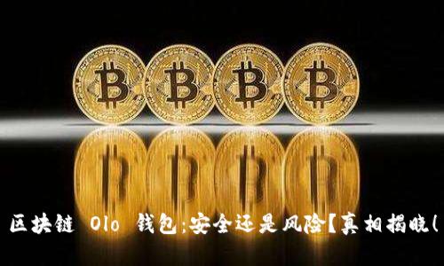 区块链 Olo 钱包：安全还是风险？真相揭晓！