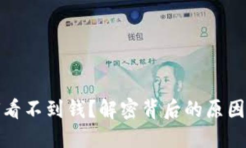 TP钱包为何看不到钱?解密背后的原因与解决方案
