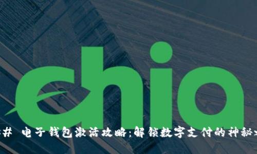### 电子钱包激活攻略：解锁数字支付的神秘之门