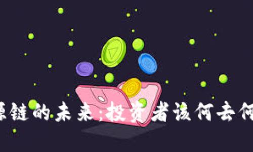 盛源链的未来：投资者该何去何从？