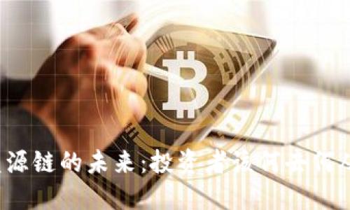 盛源链的未来：投资者该何去何从？