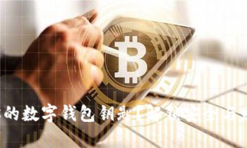 如何验证你的数字钱包钥匙？解锁安全与财富的悬念！