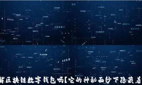 
你真的了解区块链数字钱包吗？它的神秘面纱下隐藏着哪些真相？