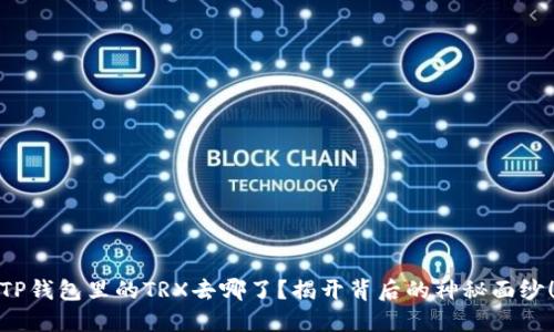 TP钱包里的TRX去哪了?揭开背后的神秘面纱!