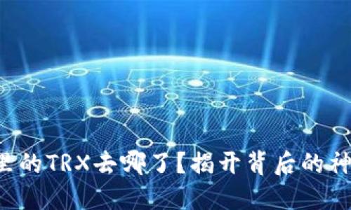 TP钱包里的TRX去哪了?揭开背后的神秘面纱!