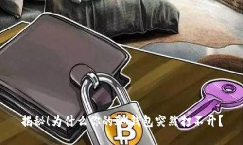 揭秘！为什么你的IM钱包突然打不开？