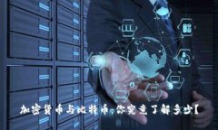加密货币与比特币：你究