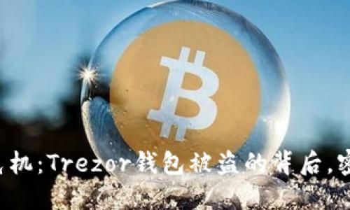 当数字资产遭遇危机：Trezor钱包被盗的背后，密码如何解锁安全？