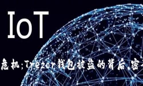 当数字资产遭遇危机：Trezor钱包被盗的背后，密码如何解锁安全？