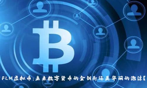 FLM虚拟币：未来数字货币的金钥匙还是华丽的泡沫？