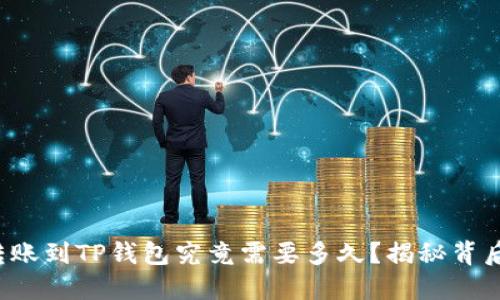 从平台转账到TP钱包究竟需要多久?揭秘背后的秘密!