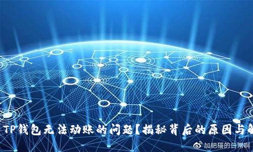 如何解决TP钱包无法动账的问题？揭秘背后的原因与解决方案！