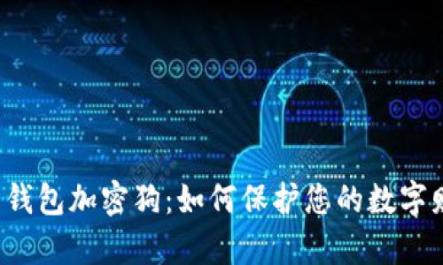 电子钱包加密狗:如何保护您的数字财富?