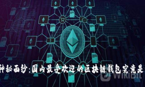 揭开神秘面纱：国内最受欢迎的区块链钱包究竟是什么？