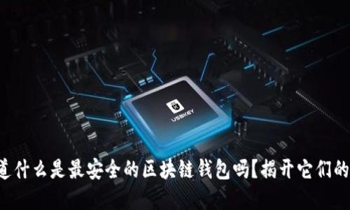 你知道什么是最安全的区块链钱包吗？揭开它们的秘密！