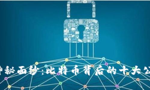 揭开币圈神秘面纱：比特币背后的十大公司是哪些？