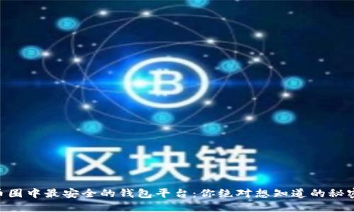 币圈中最安全的钱包平台：你绝对想知道的秘密！